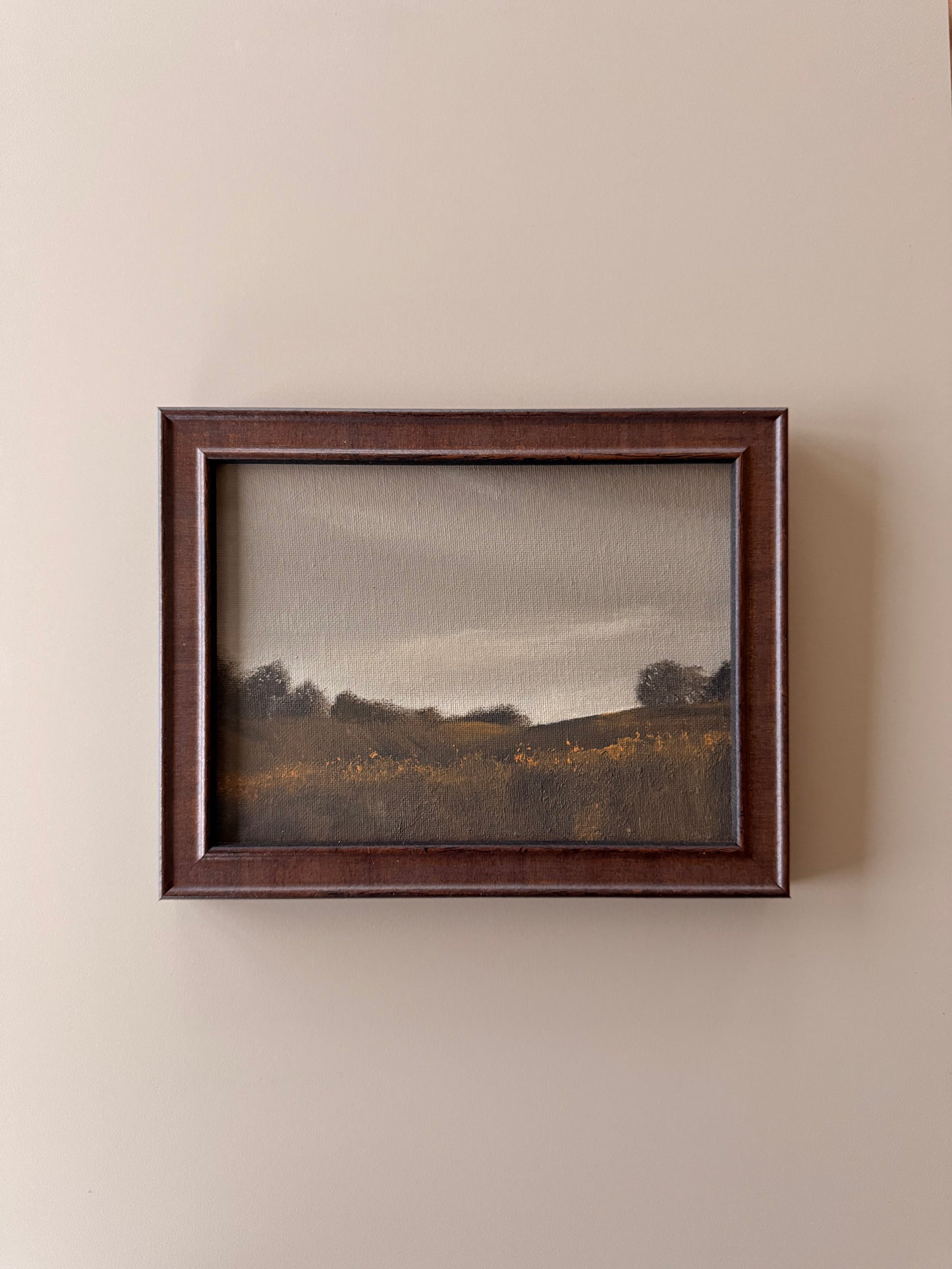 ‘Horizon’ Collectors edition 24