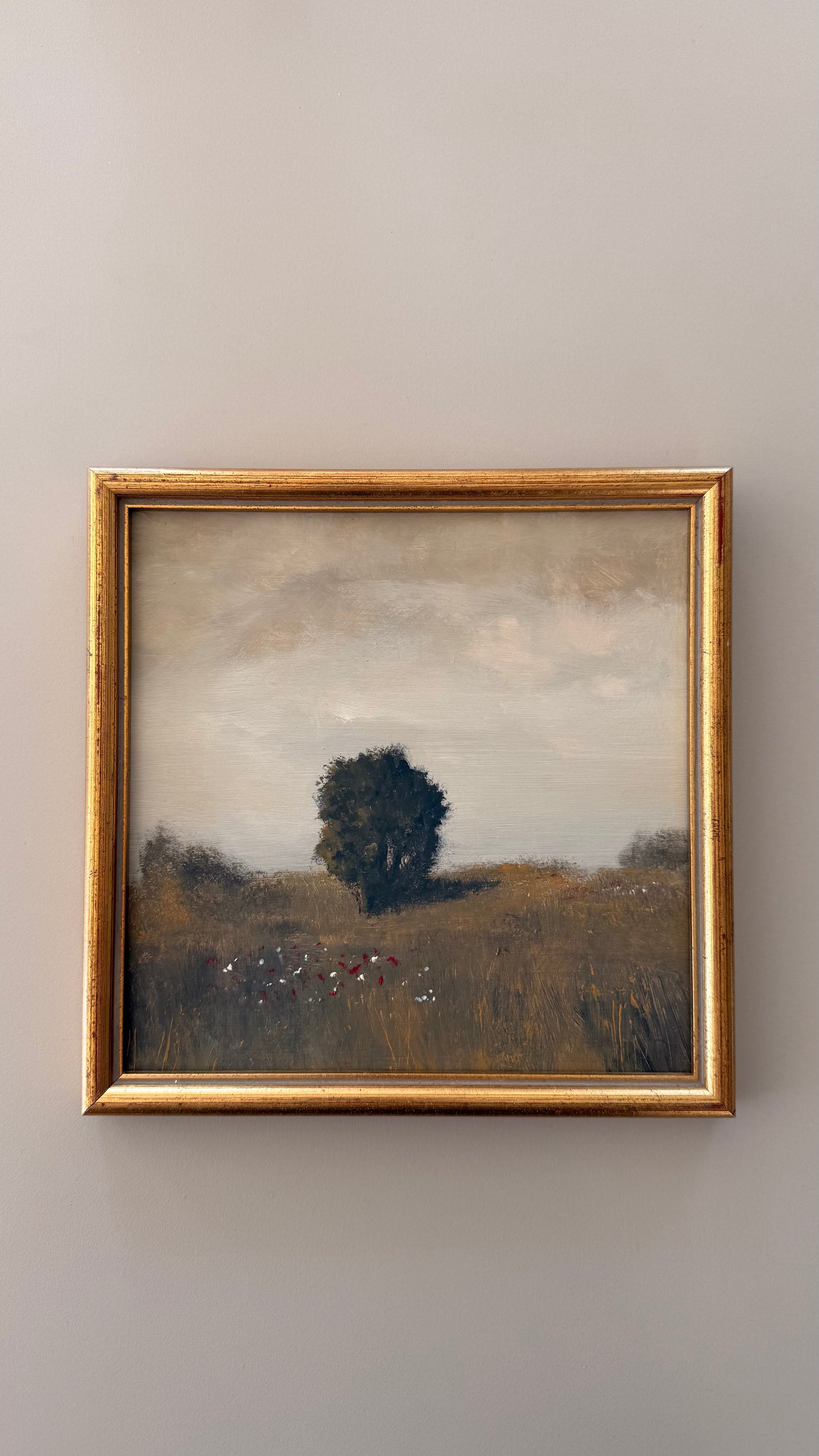 The meadow