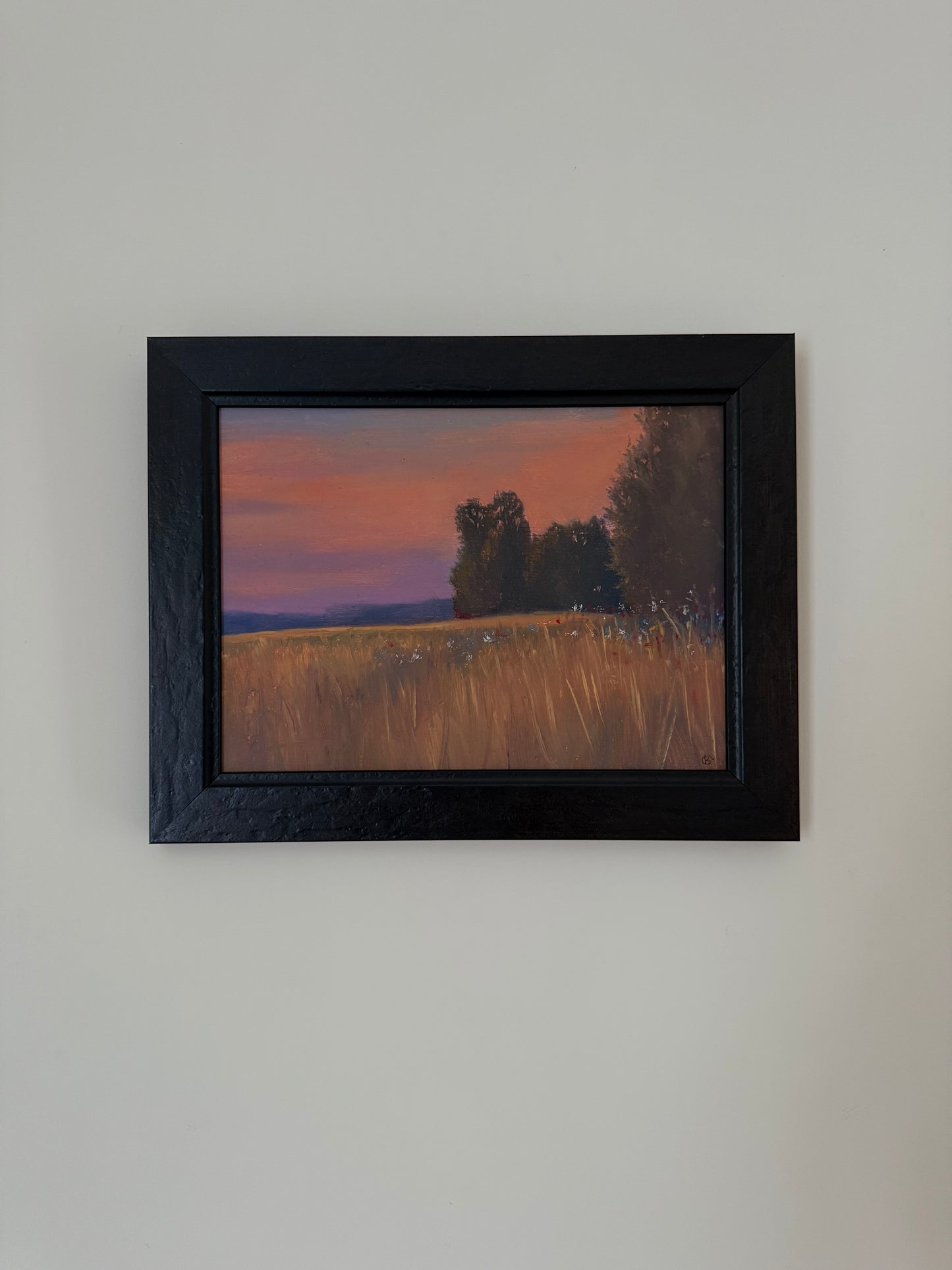 Sunset meadow