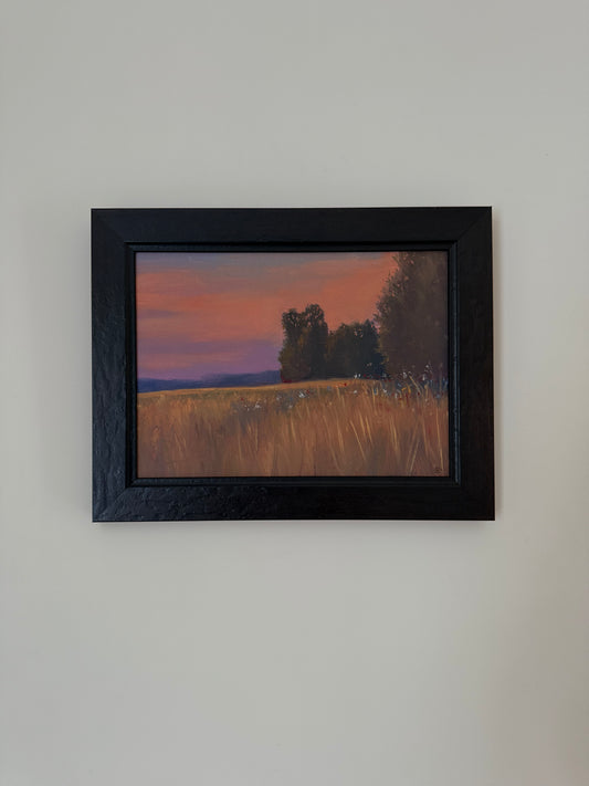Sunset meadow